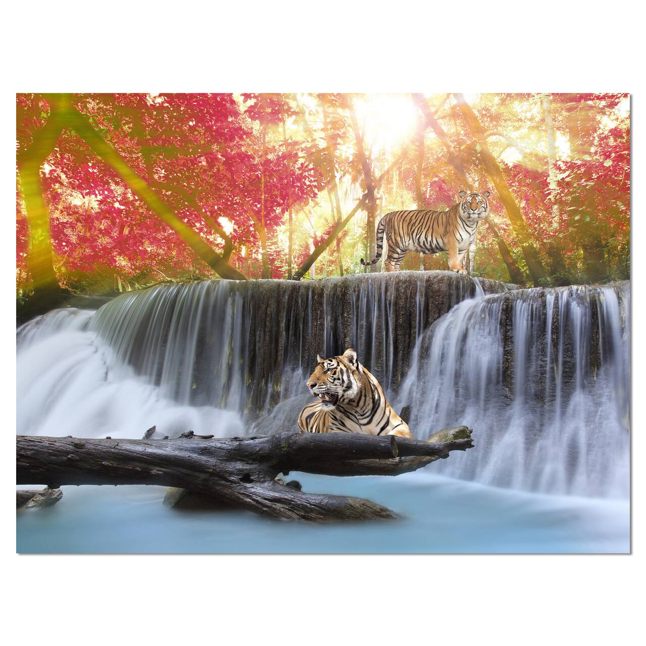 Designart - Tiger in the Jungle - Photography Canvas Art Print